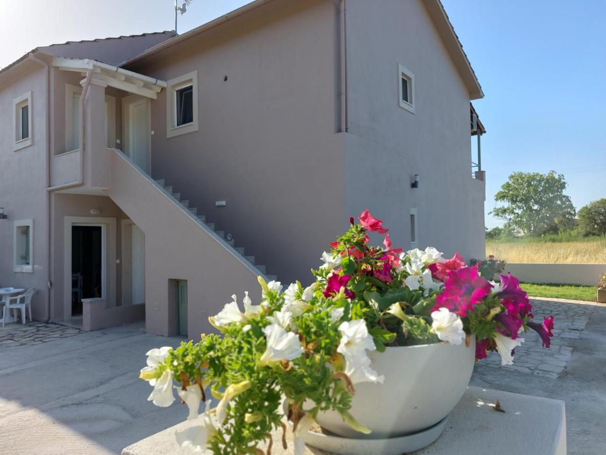 Evelina Luxury Suites In Corfu 阿普索斯 外观 照片