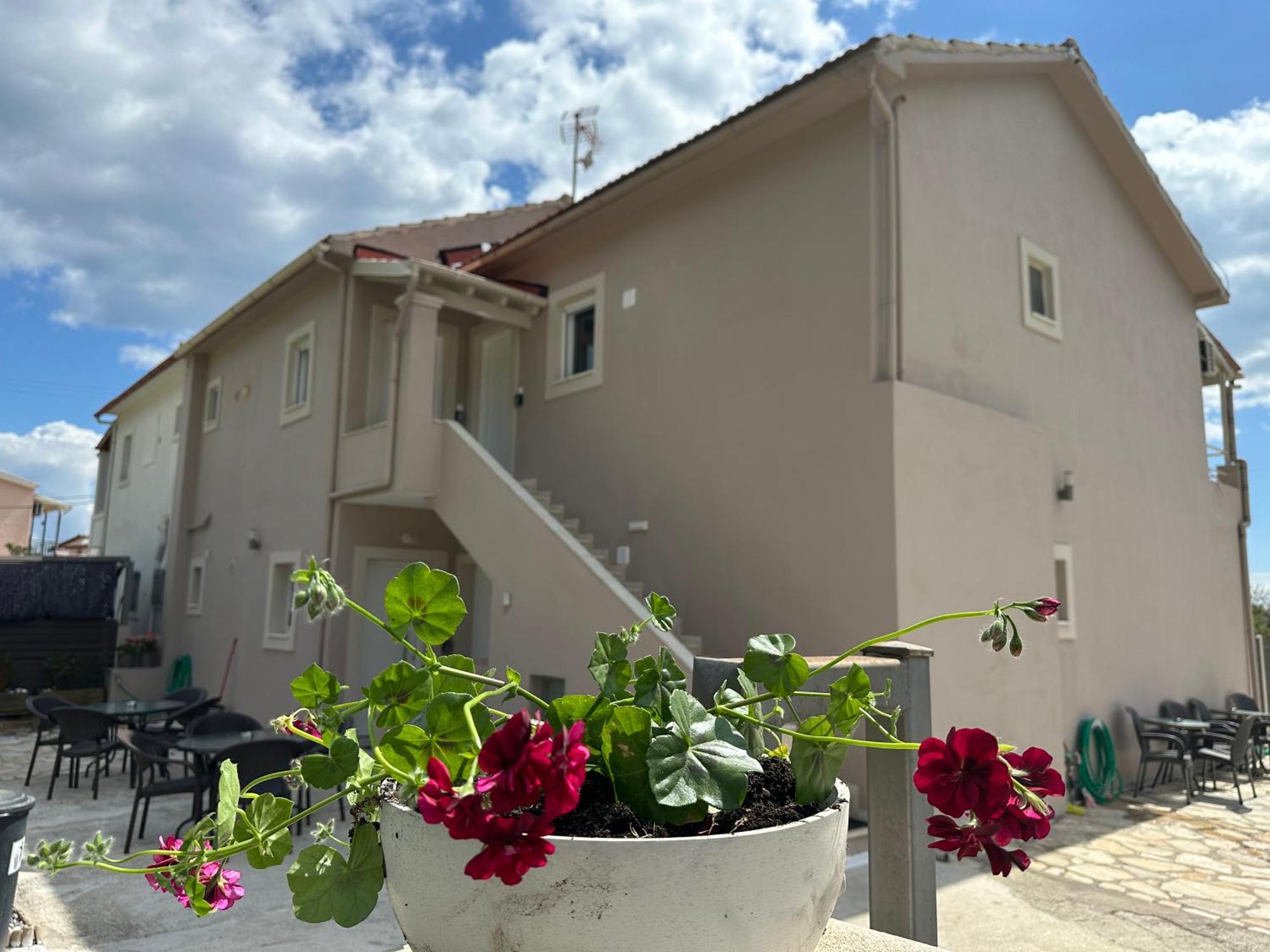 Evelina Luxury Suites In Corfu 阿普索斯 外观 照片